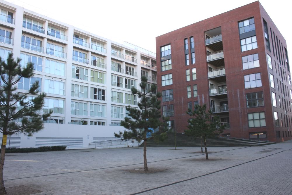CJ Hole Southville 2 bedroom Apartment to rent in Airpoint, Bedminster